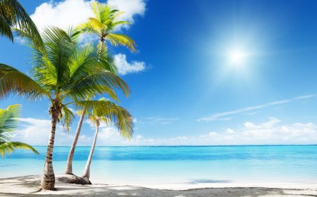 ESCUCHA  NUESTRO  NUEVO PODCAST